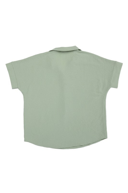 Shirt collared blouse
